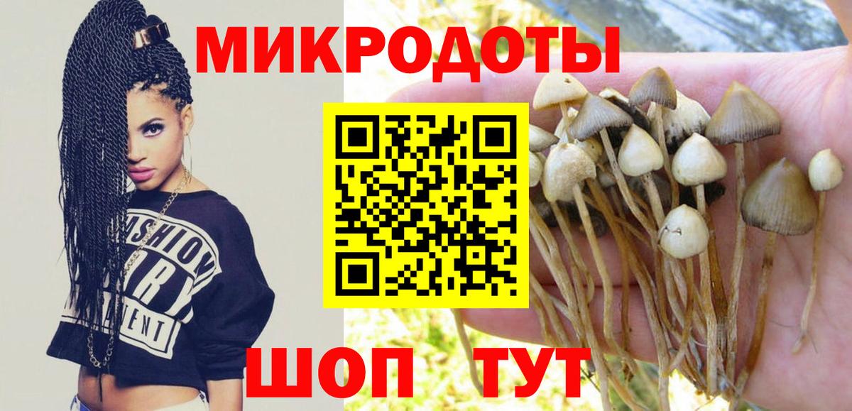 Галлюциногенные грибы мицелий Туймазы